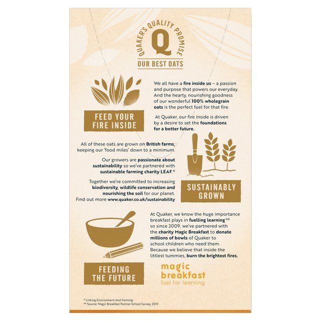 Quaker Oat So Simple Golden Syrup Porridge Sachets Cereal 10 per pack