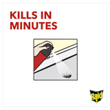 Raid Ant & Cockroach Killer 300ml