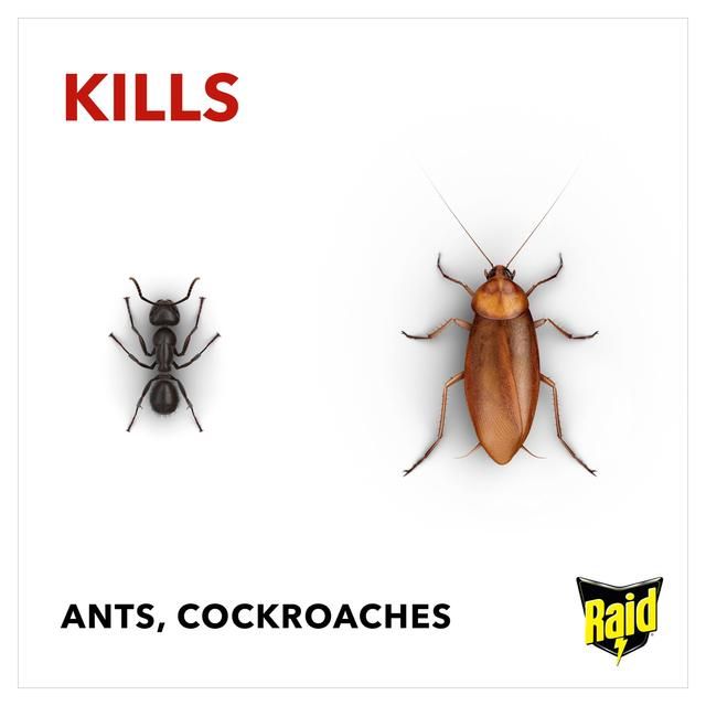 Raid Ant & Cockroach Killer