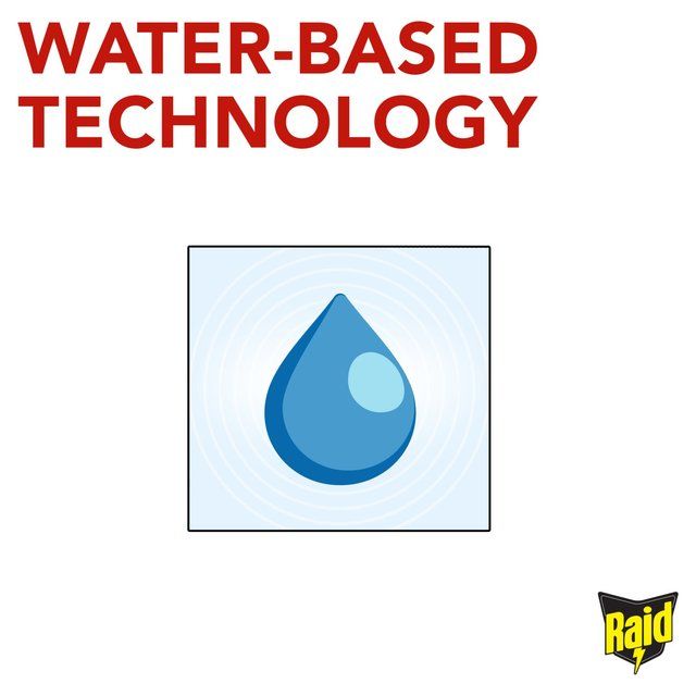 Raid Fly Wasp & Mosquito Killer with Eucalyptus Aroma Oil   300ml