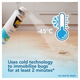 Raid Freeze Crawling Insects Spray 300ml