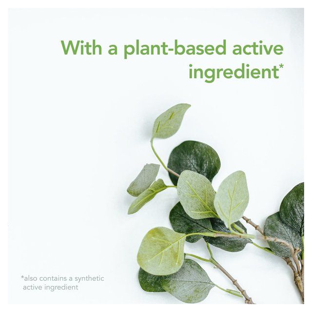 Raid Plant Based Crawling Insect Killer Aerosol Spray 300ml