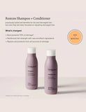 Restore Shampoo 236ml