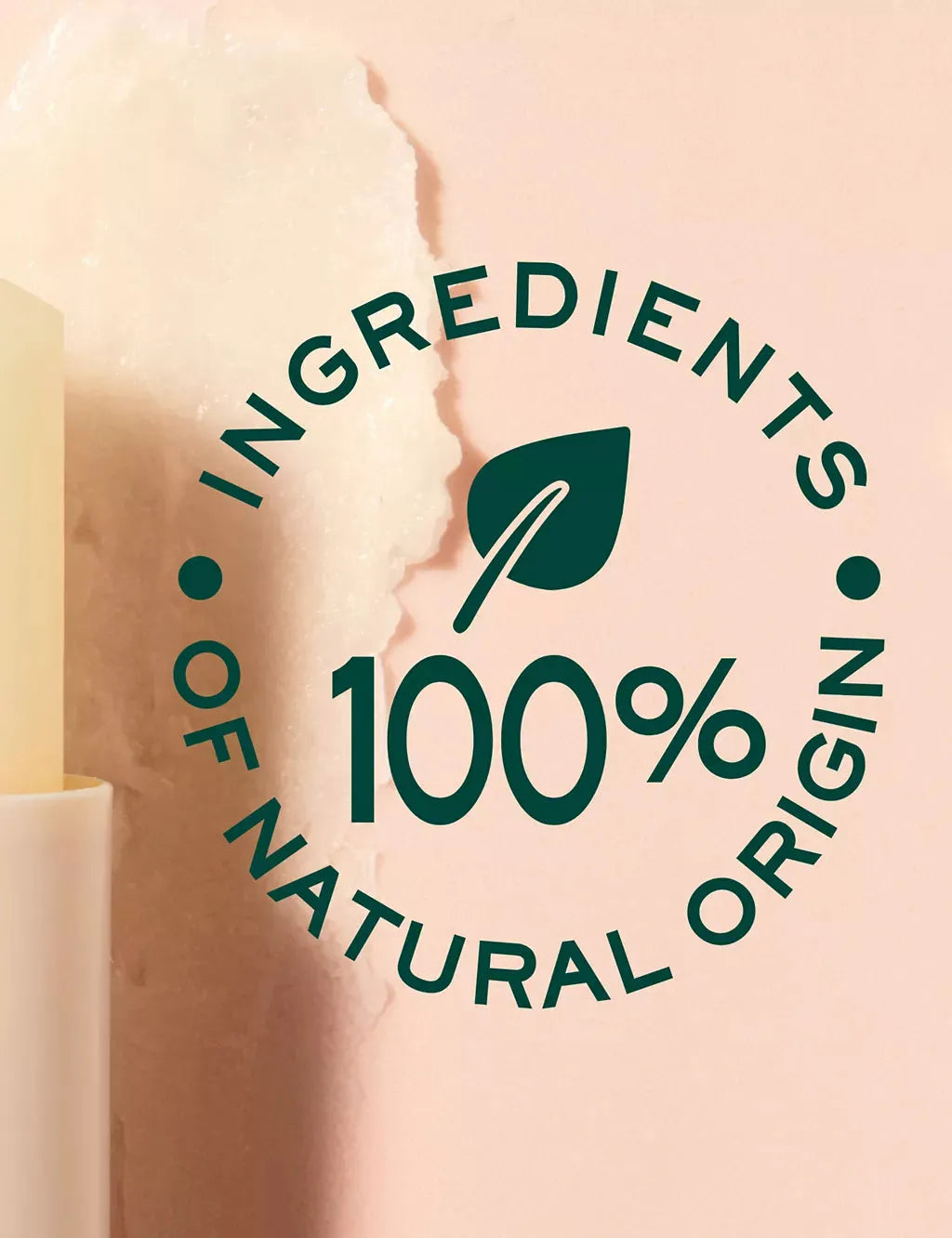 Reve de Miel Lip Moisturising Stick with Honey & Sunflower 4g