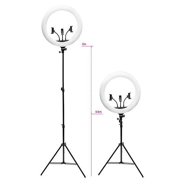 Rio Professional Makeup & Vlogging Dimmable LED Ring Light