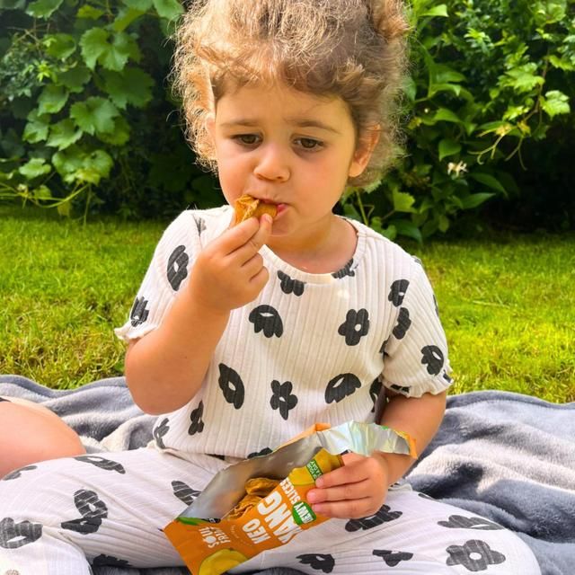 Soul Fruit Soft Dried Keo Mango 30g