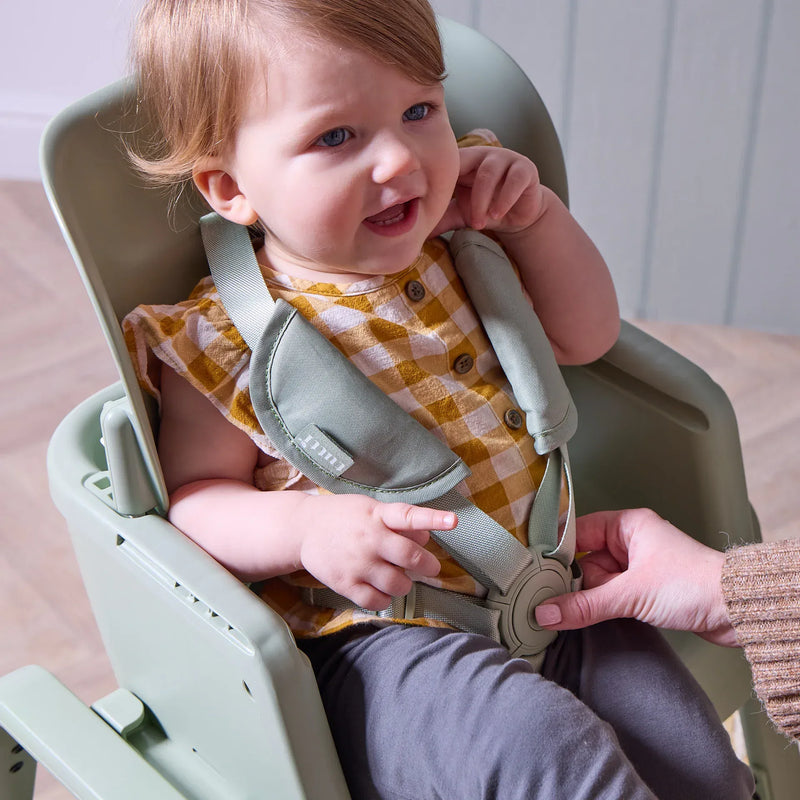 Tutti Bambini Nova Maison 7 in 1 highchair Matcha - British product