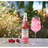 Fever-Tree Raspberry & Orange Blossom Soda GOODS M&S   