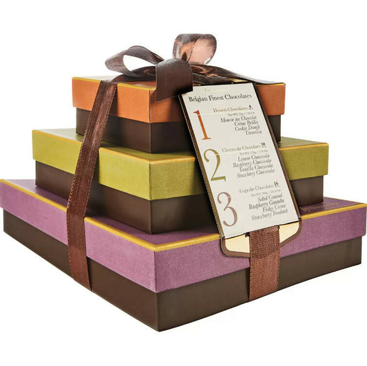 Chocodelice Finest Belgian Chocolates 3 Box Gift Set, 490g Gift Set Costco UK   