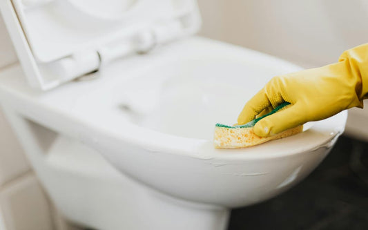 Navigating the Best Toilet Cleaners for Sparkling Results