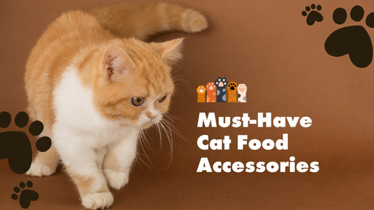 Must-Have Cat Food Accessories - McGrocer