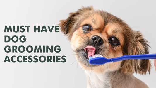 Must have Dog Grooming Accessories - McGrocer
