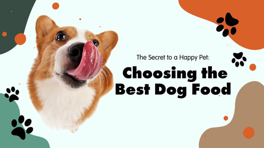 The Secret to a Happy Pet: Choosing the Best Dog Food - McGrocer