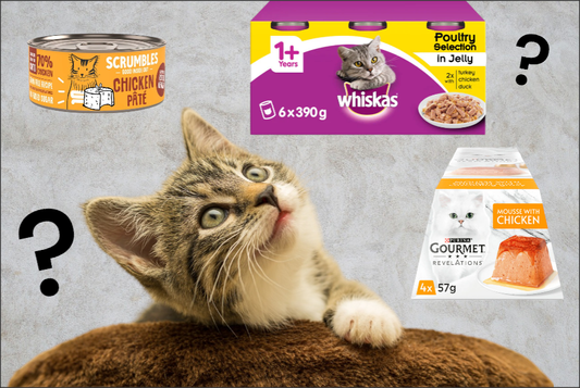 Top 10 Cat Foods Wet Products for Your Feline Friend