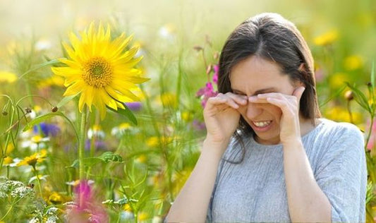 Combat Hay Fever with Top-Rated Products and Remedies