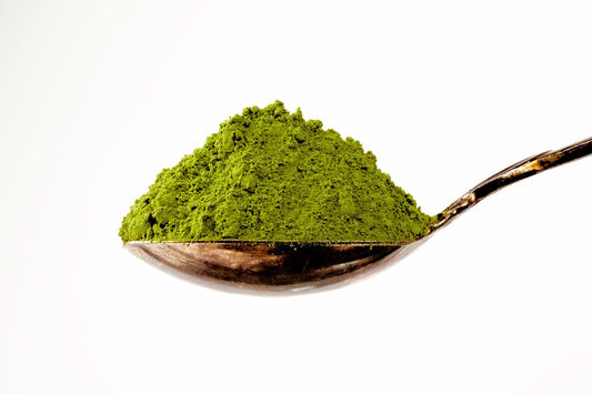 Top-Grade Matcha: Discover the Best Matcha Powder of 2024