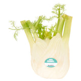 ASDA fennel vegetable herb - British product