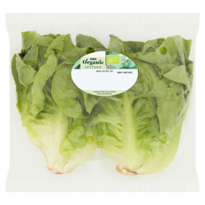 Frischer ASDA Bio-Kopfsalat grün - Britisches Produkt