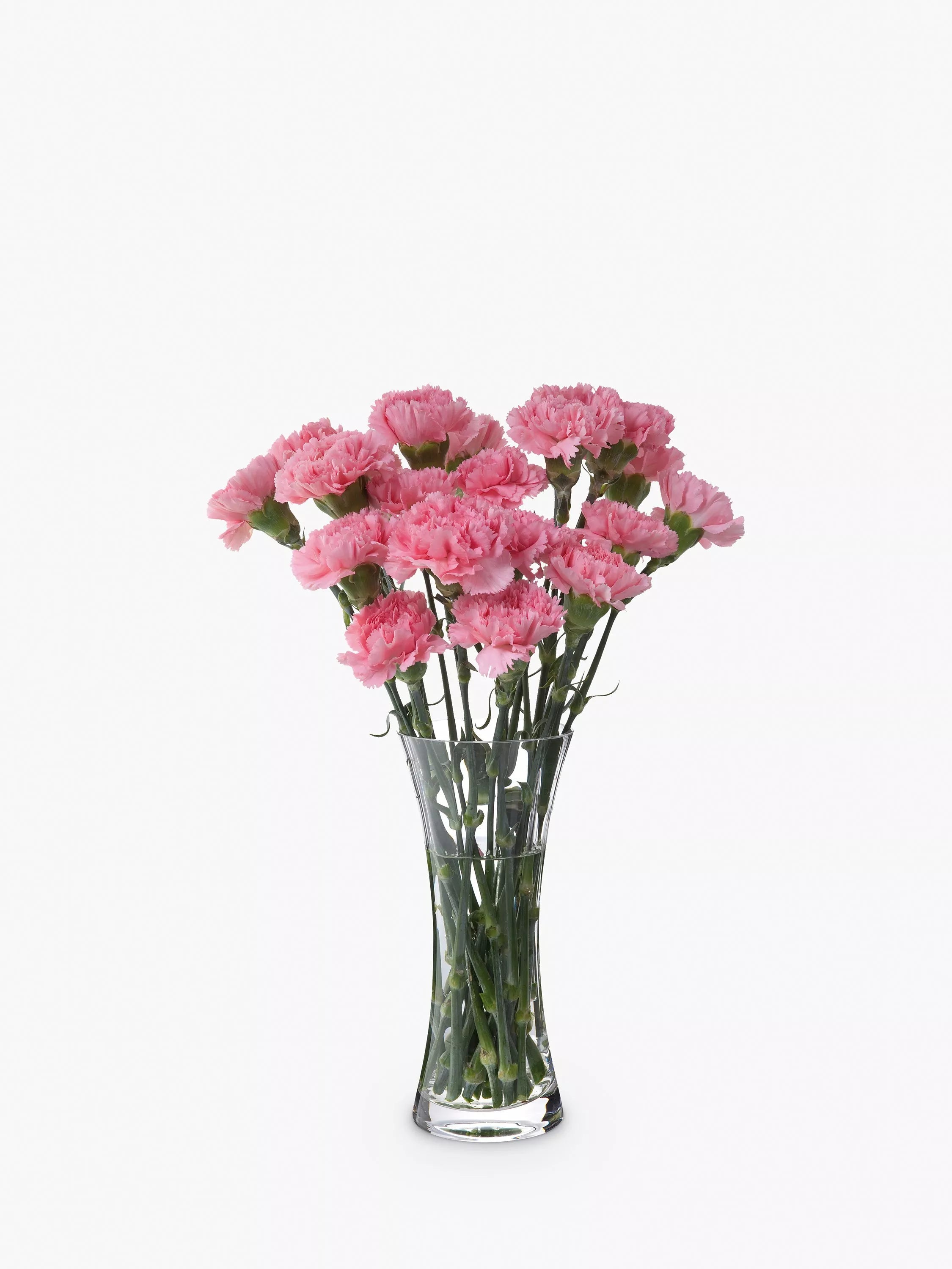 Dartington Crystal Florabundance Carnation Vase 26cm Clear - British product