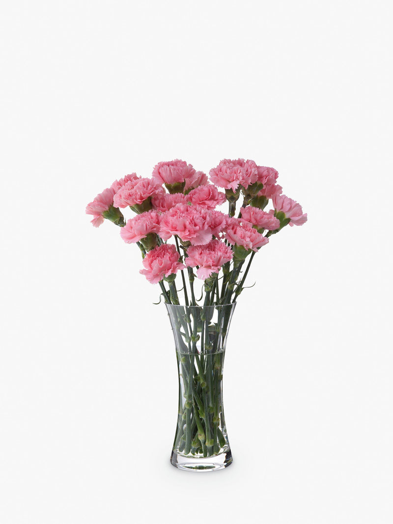 Dartington Crystal Florabundance Carnation Vase 26cm Clear - British product