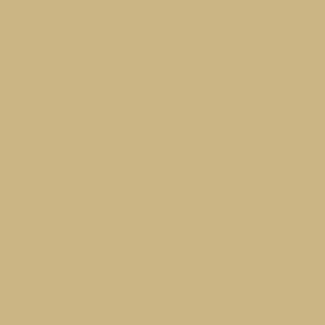 The Little Greene Paint Company Absolute Matt Emulsion 2.5L