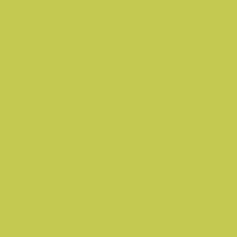 The Little Greene Paint Company Absolute Matt Emulsion Tester Pot