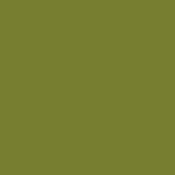 The Little Greene Paint Company Absolute Matt Emulsion Tester Pot