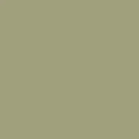 The Little Greene Paint Company Absolute Matt Emulsion Tester Pot