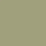 The Little Greene Paint Company Absolute Matt Emulsion Tester Pot