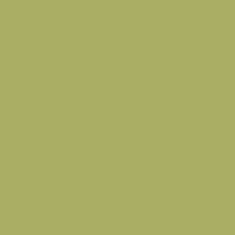 The Little Greene Paint Company Absolute Matt Emulsion Tester Pot