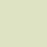 The Little Greene Paint Company Absolute Matt Emulsion 2.5L
