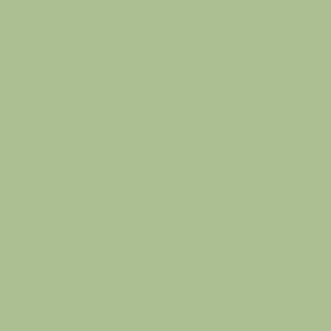 The Little Greene Paint Company Absolute Matt Emulsion Tester Pot