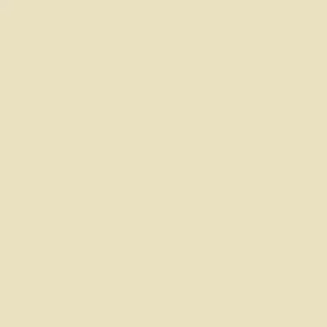 The Little Greene Paint Company Absolute Matt Emulsion 2.5L