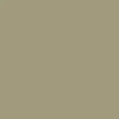 The Little Greene Paint Company Absolute Matt Emulsion 2.5L
