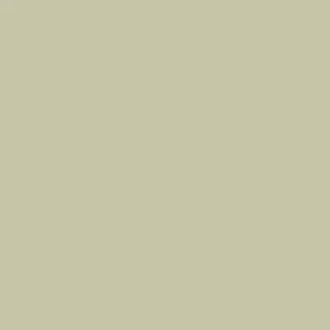 The Little Greene Paint Company Absolute Matt Emulsion 2.5L