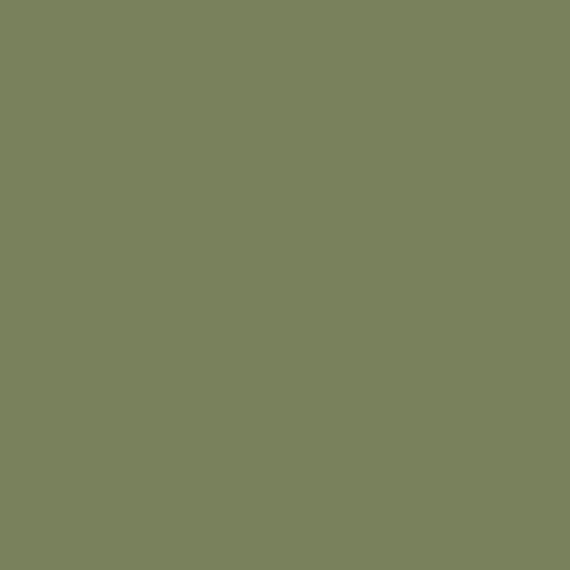 The Little Greene Paint Company Intelligent Matt Emulsion Strong Greens 2500ml