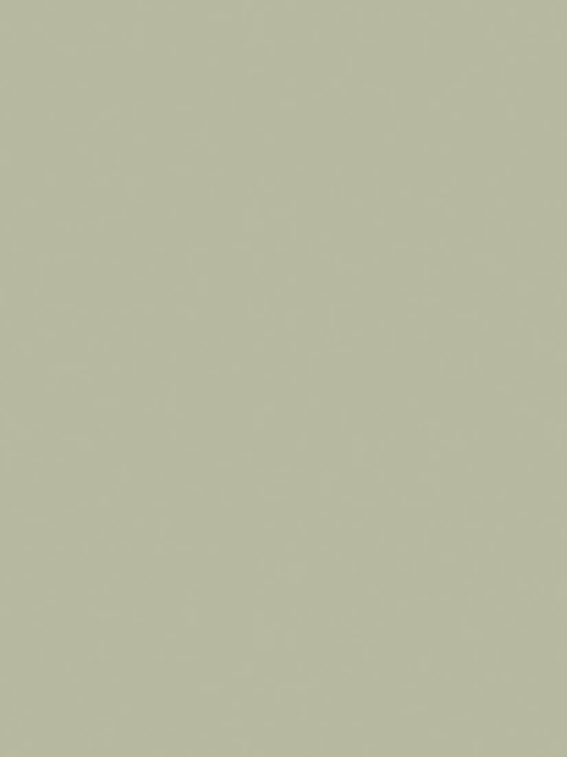 The Little Greene Paint Company Intelligent Eggshell Pale Greens Water-Based Eggshell Paint 1000ml