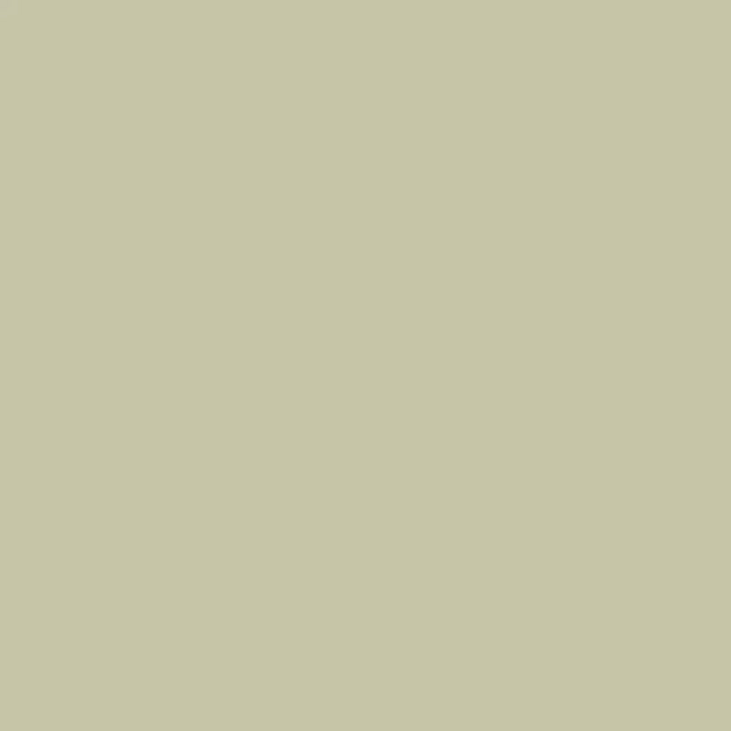 The Little Greene Paint Company Intelligent Matt Emulsion Light Stone Neutrals Paint 2500ml