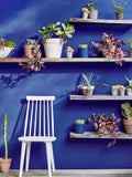 Little Greene Absolute Matt Emulsion Strong Blues, imported from the UK