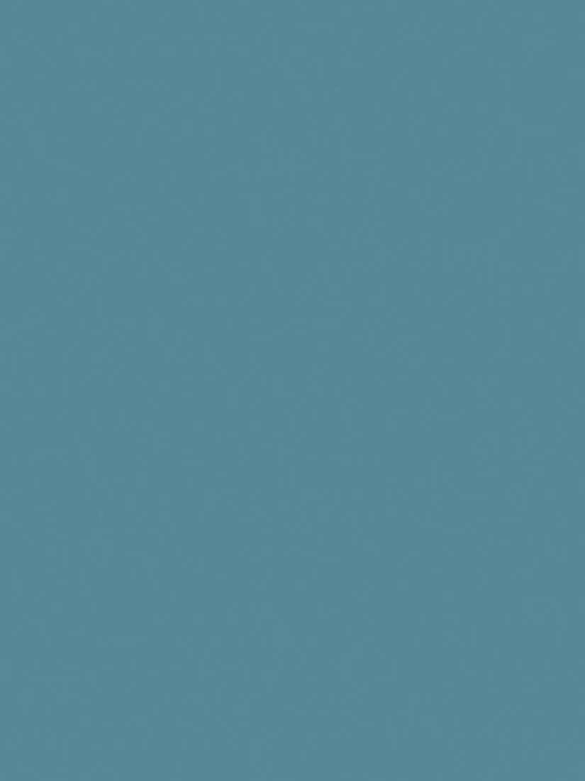 The Little Greene Paint Company Intelligent Eggshell Strong Blues Water Based Eggshell Paint 1000ml
