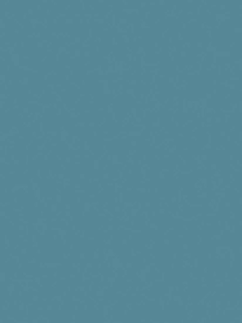 The Little Greene Paint Company Intelligent Eggshell Strong Blues Water Based Eggshell Paint 1000ml
