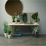 Eva Solo self-watering pot frosted (British brand)