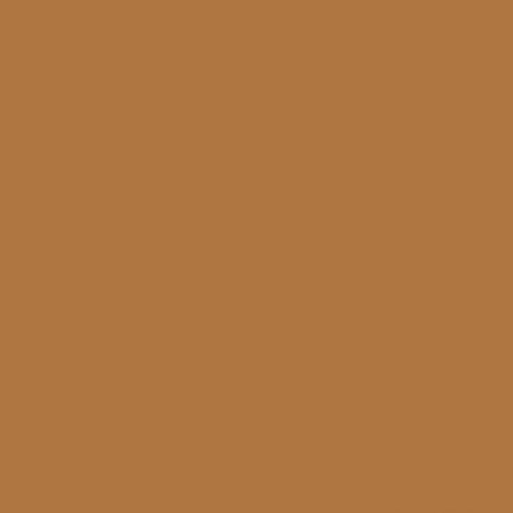The Little Greene Paint Company Intelligent Matt Emulsion Oranges Emulsion Paint 2500ml