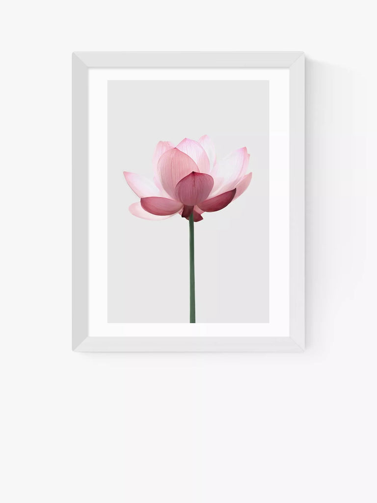 EAST END PRINTS Sisi and Seb 'Lotus' Framed Print