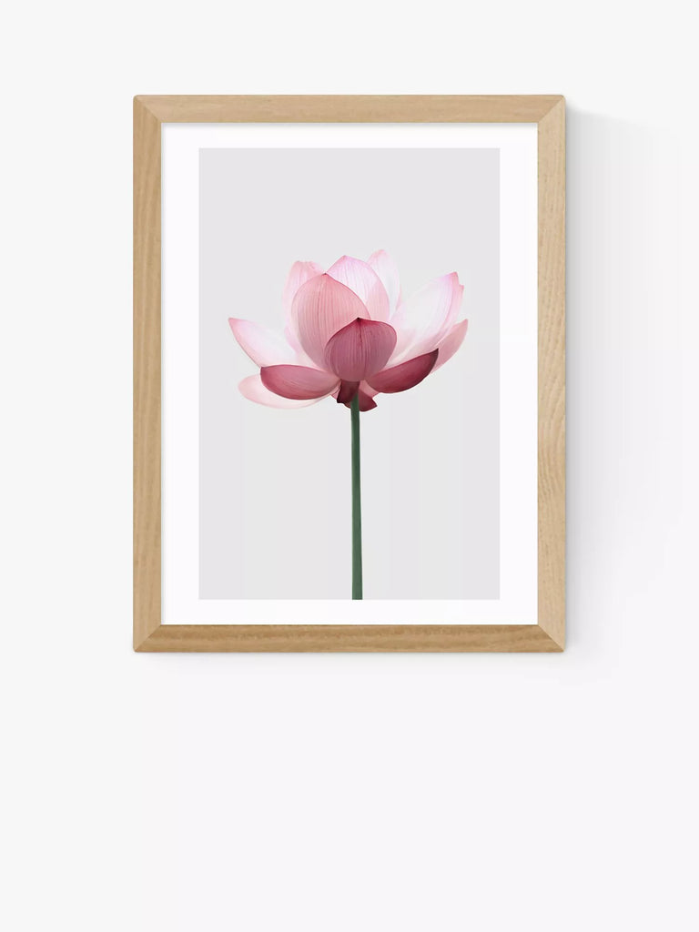 EAST END PRINTS Sisi and Seb 'Lotus' Framed Print