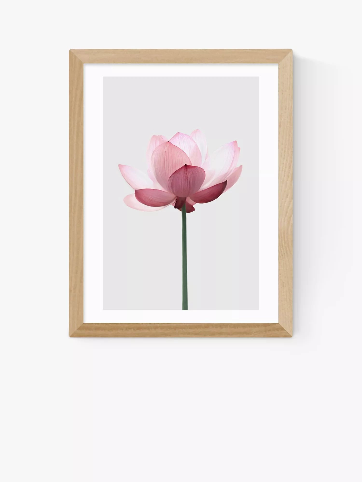 EAST END PRINTS Sisi and Seb 'Lotus' Framed Print - Oak Frame 43.4 x 33.4cm