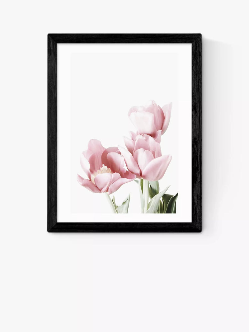 EAST END PRINTS Sisi and Seb 'Tulips' Framed Wall Art, White Frame