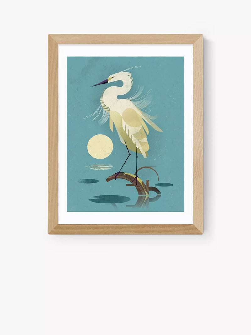 EAST END PRINTS Dieter Braun Little Egret Framed Print 40x50cm