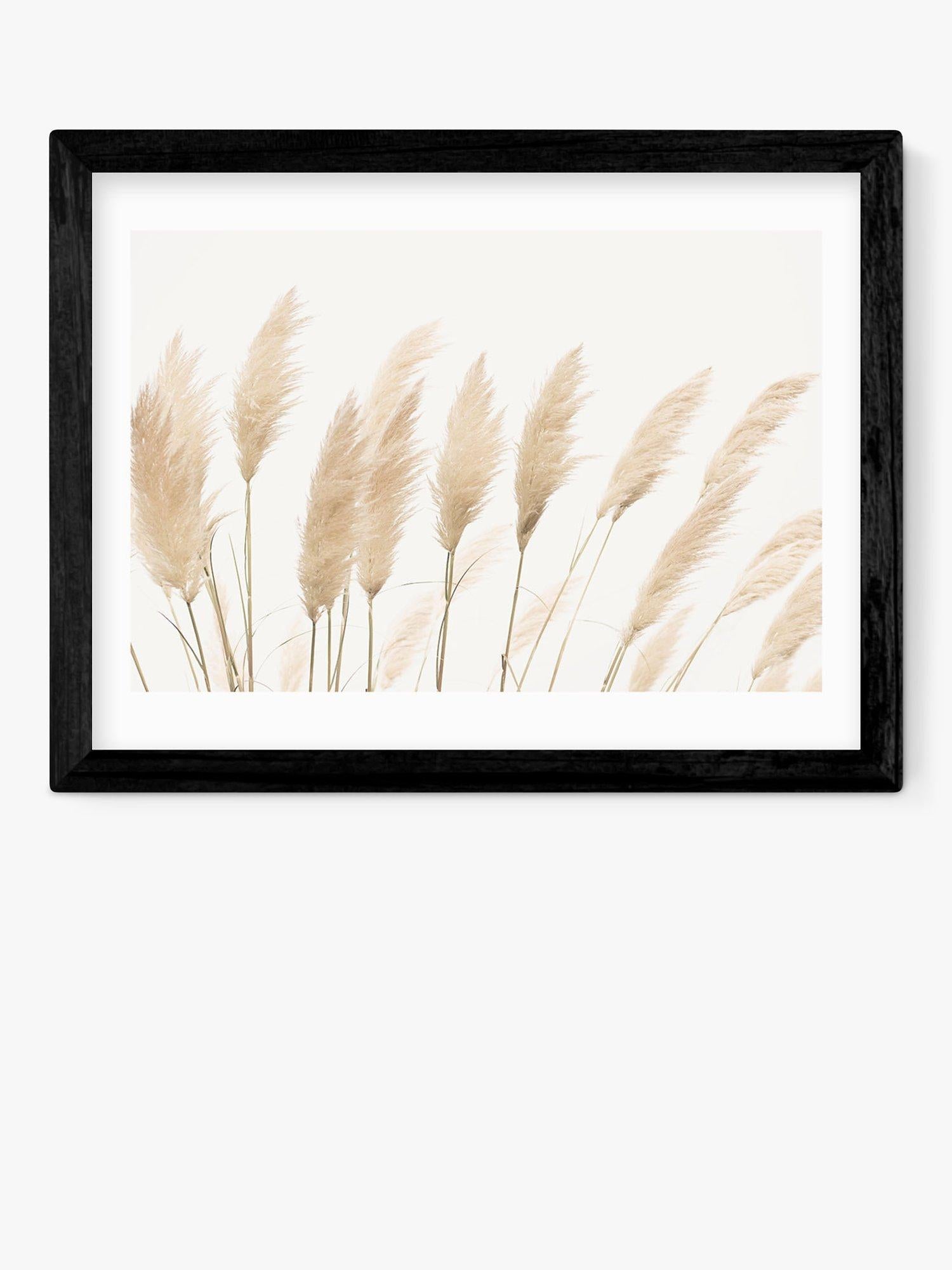 EAST END PRINTS framed print Pampas by Sisi and Seb 53.4 x 43.4cm, imported from the UK