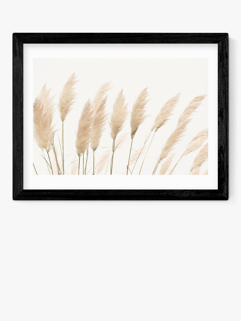EAST END PRINTS framed print Pampas by Sisi and Seb 53.4 x 43.4cm, imported from the UK